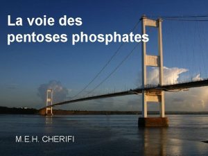 La voie des pentoses phosphates M E H