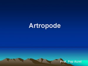 Artropode Prof Pop Aurel a Arahnide Pianjenii mici