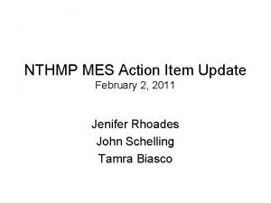 NTHMP MES Action Item Update February 2 2011