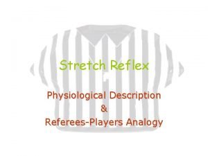 Stretch Reflex Physiological Description RefereesPlayers Analogy Proprioception Awareness