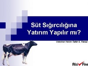 St Srclna Yatrm Yaplr m Veteriner Hekim Tahir