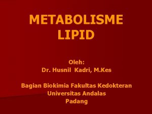 METABOLISME LIPID Oleh Dr Husnil Kadri M Kes