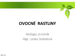 OVOCN RASTLINY Biolgia 6 ronk Mgr Lenka Dubielov