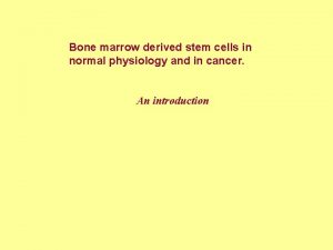 Bone marrow derived stem cells in normal physiology