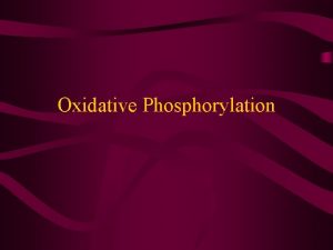 Define oxidative phosphorylation