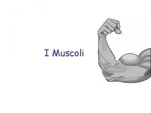 I Muscoli I Muscoli Il sistema muscolare costituito