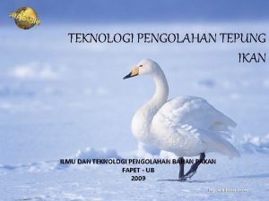 TEKNOLOGI PENGOLAHAN TEPUNG IKAN ILMU DAN TEKNOLOGI PENGOLAHAN