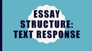 Text essay structure