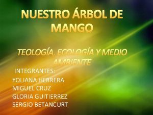 Mango mariquiteño Mango mariquiteño