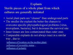Explants Sterile pieces of a whole plant from