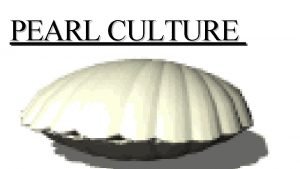 Pearl culture definition