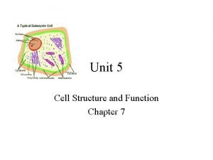 Unit 5 cell structure and function answer key
