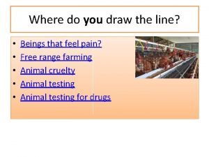 Draw the line at animal cruelty