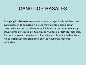 Cuerpo estriado y ganglios basales