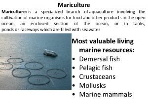 Mariculture is