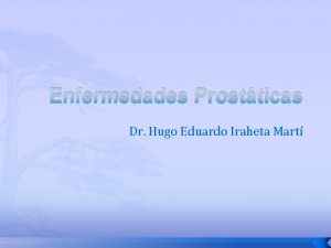 Enfermedades Prostticas Dr Hugo Eduardo Iraheta Mart Enfermedades