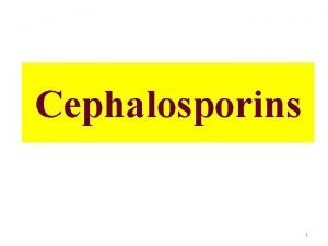 Cephalosporins 1 Cephalosporin antibiotics derived from cephalosporin C