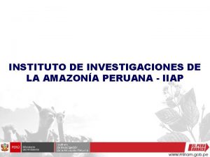 INSTITUTO DE INVESTIGACIONES DE LA AMAZONA PERUANA IIAP