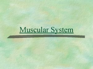 Muscle names Muscle names