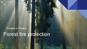 Forests in Poland Forest fire protection General characteristics