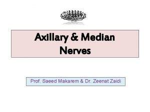 Axillary Median Nerves Prof Saeed Makarem Dr Zeenat