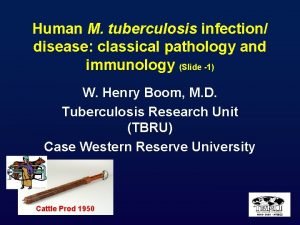 Human M tuberculosis infection disease classical pathology and