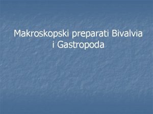 Makroskopski preparati Bivalvia i Gastropoda Phylum Mollusca Classis