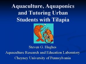 Aquaculture Aquaponics and Tutoring Urban Students with Tilapia