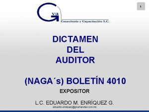 1 DICTAMEN DEL AUDITOR NAGAs BOLETN 4010 EXPOSITOR