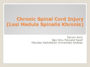 Chronic Spinal Cord Injury Lesi Medula Spinalis Khronis