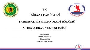 T C ZRAAT FAKLTES TARIMSAL BYOTEKNOLOJ BLM MKROARRAY