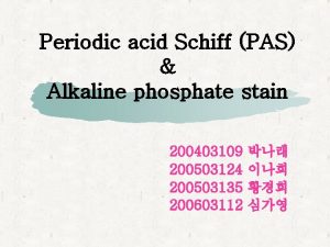 Periodic acid schiff 염색