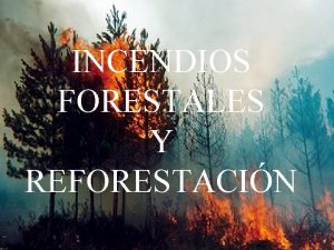 INCENDIOS FORESTALES Y REFORESTACIN Que son los incendios