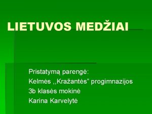 Klevo žiedai Klevo žiedai