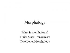 Morphology meaning Morphology meaning