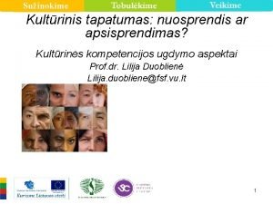 Suinokime Kultrinis tapatumas nuosprendis ar apsisprendimas Kultrins kompetencijos