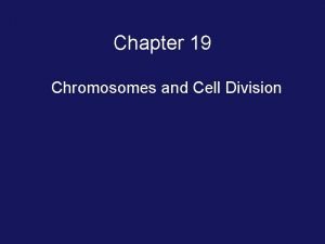Chapter 19 Chromosomes and Cell Division Human Chromosomes