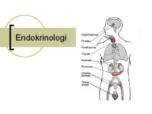 Endokrinologi Det endokrine system I n n n