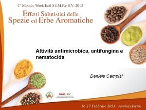 Attivit antimicrobica antifungina e nematocida Daniele Campisi PROPRIET