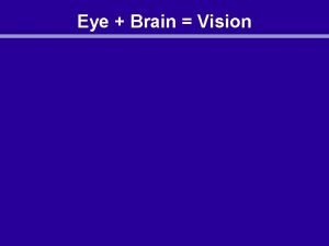 Eye Brain Vision Eye Every organism is light
