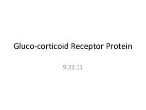 Glucocorticoid Receptor Protein 9 22 11 Case Study