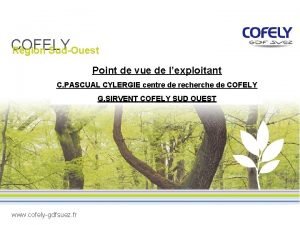 Ce cofely sud ouest