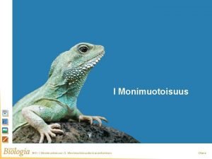 Monimuotoisuus I Monimuotoisuus BI 3 I Monimuotoisuus 3