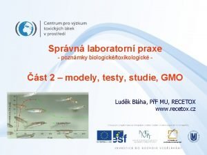 Sprvn laboratorn praxe poznmky biologicktoxikologick st 2 modely