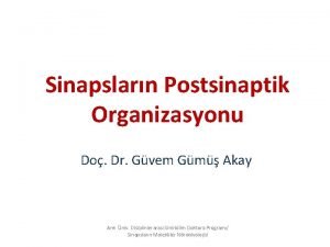 Sinapslarn Postsinaptik Organizasyonu Do Dr Gvem Gm Akay