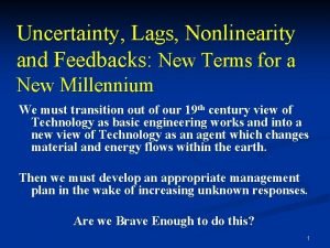 Uncertainty Lags Nonlinearity and Feedbacks New Terms for