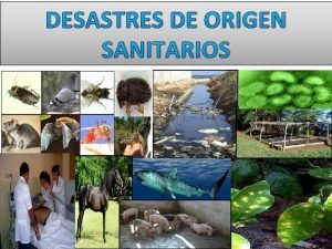 Desastre sanitario