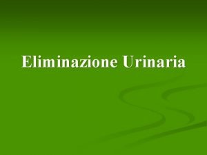 Eliminazione Urinaria La minzione n La vescica si