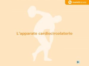 La circolazione del sangue