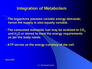 Integration of Metabolism The organisms possess variable energy